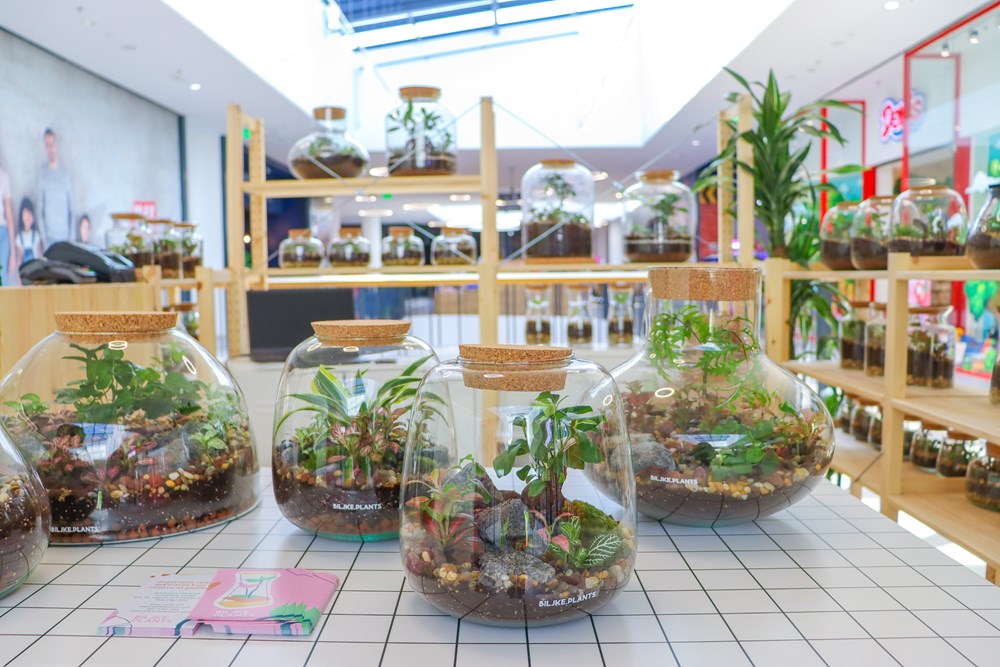 Biljke.Plants