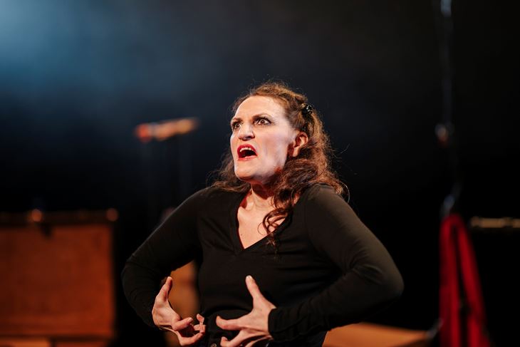Predstava "Francamente" Petra B. Blaskovic( snimio Karlo Čargonja)