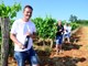 Vinogradi se nalaze na izvrsnoj poziciji