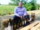 Sommelier Filip Savić