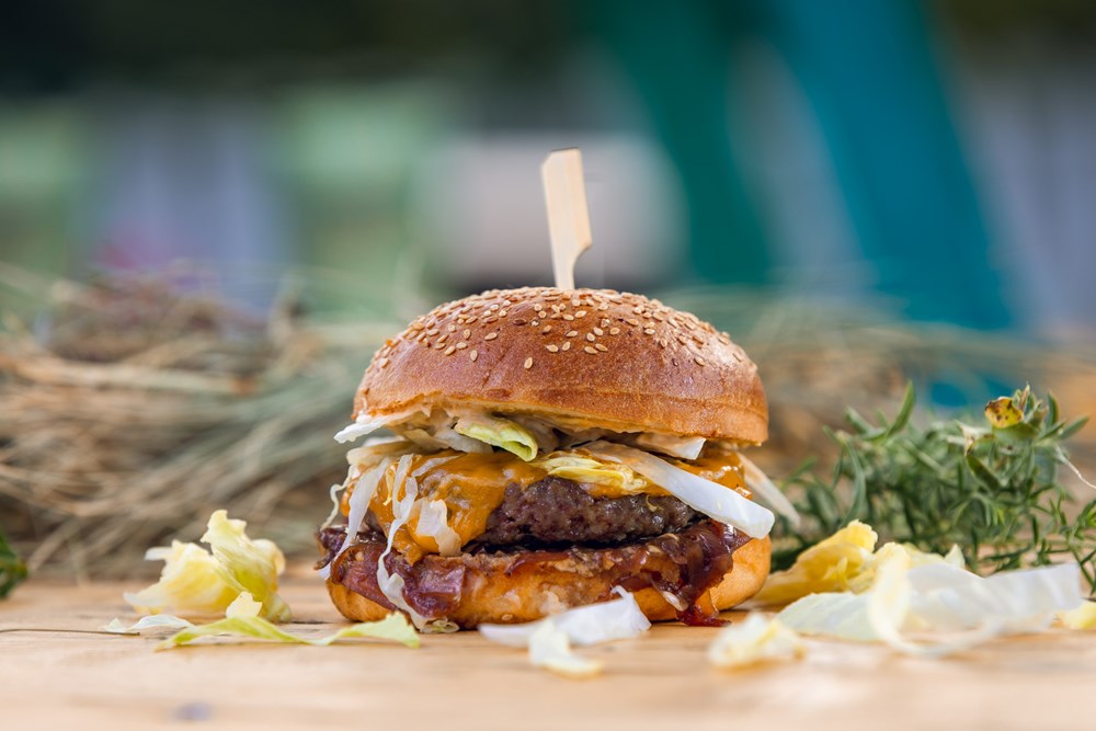 Food Truck Festival