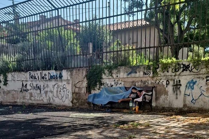 Mali park nadomak OŠ Tone Peruško Neven je odabrao za svoje boravište (Snimio čitatelj Glasa Istre)