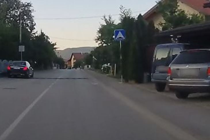 (Snimio Z. Bogdanić)