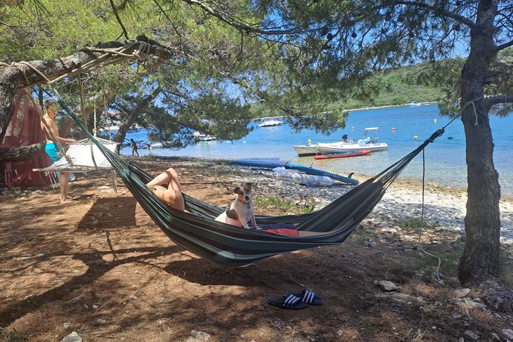 Na Fratarskom gušta i Jack Russellica Maja (Snimila Jelena Milović)