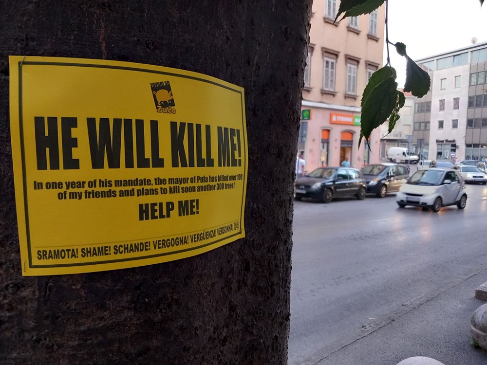 (Snimio Duško Marušić Čiči)