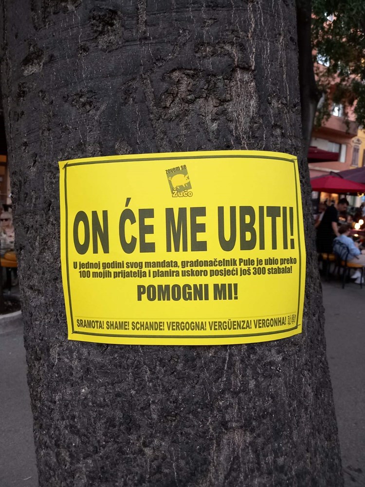 (Snimio Duško Marušić Čiči)