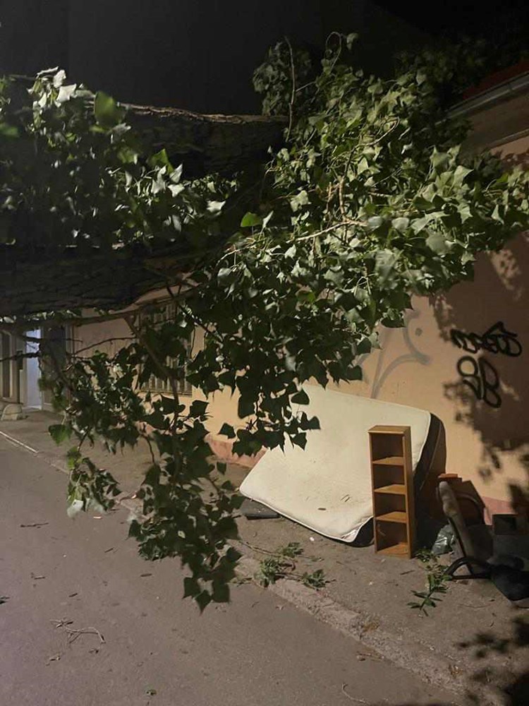 (Snimila čitateljica Glasa Istre)
