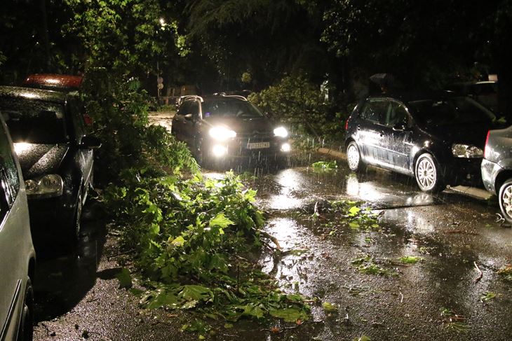Olujno nevrijeme poharalo Srbiju (Foto PIXSELL)