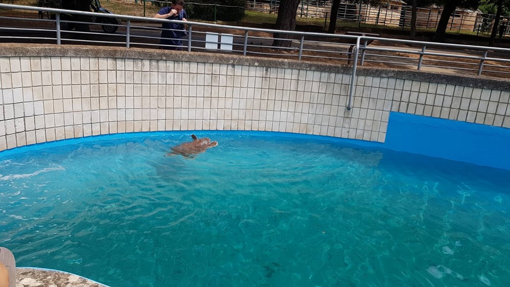 (Foto: Aquarium Pula)