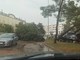 U Umagu nevrijeme srušilo stablo (Foto: EurostarUmag)