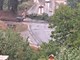 Uslijed nevremena stablo je palo na cestu kod pružnog prijelaza Drazej u Pazinu. Vatrogasci ekspresno uklonili drvo te se promet nastavio redovno odvijati (Snimio Ivica Vretenar