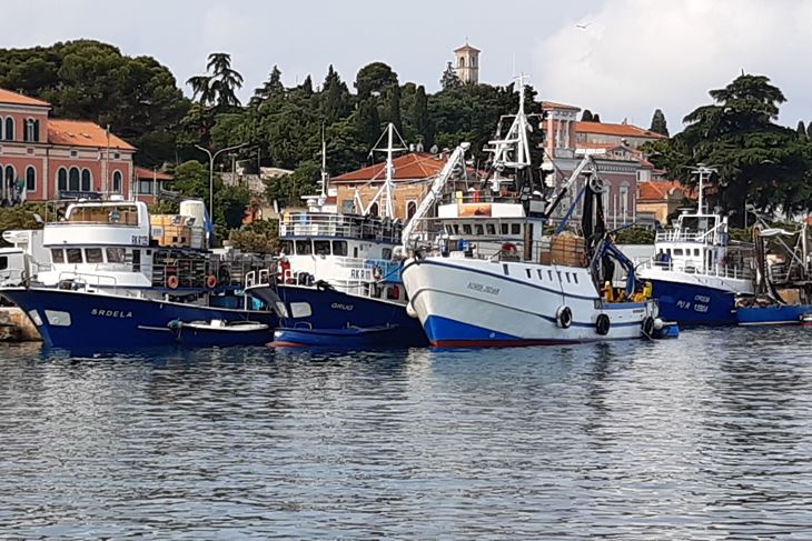 Vrhunac ribolovne sezone očekuje se u rujnu i listopadu kada u rovinjsku Valdiboru dolaze i ribarice iz Dalmacije (Snimio Aldo Pokrajac)