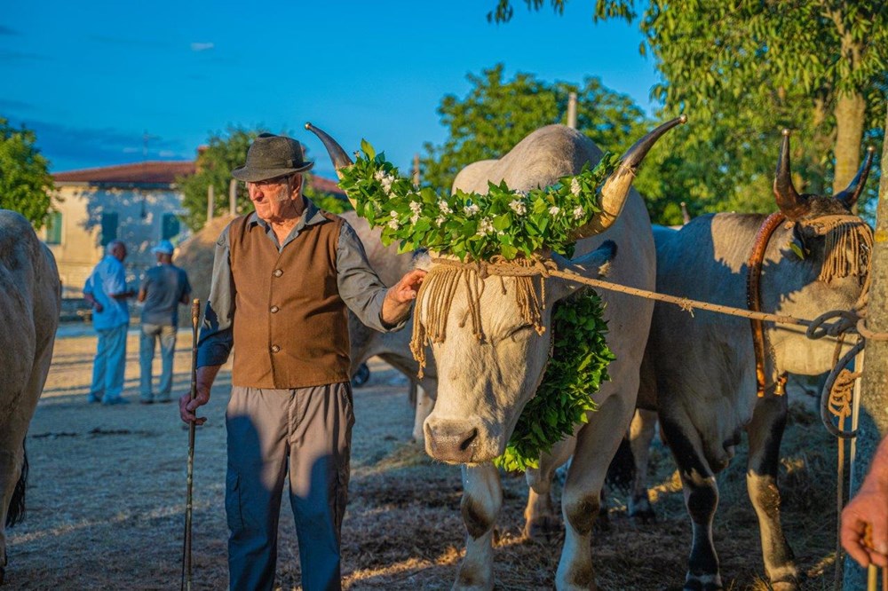 (Foto: TZ Općina Kanfanar)