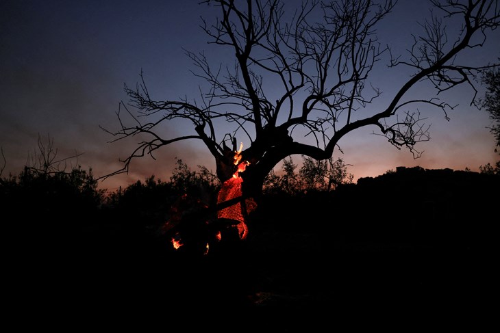 (Snimio Alexandros Avramidis/Reuters)