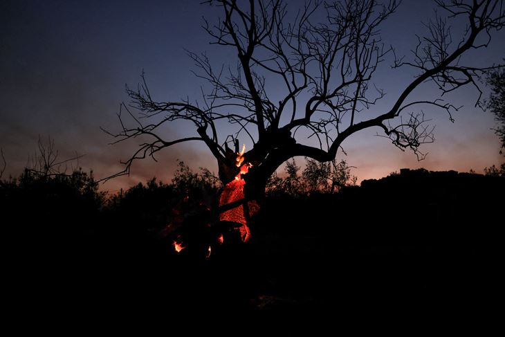 (Snimio Alexandros Avramidis/Reuters)