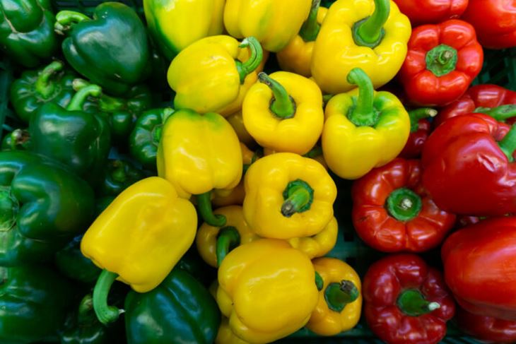 (Foto: iStock)