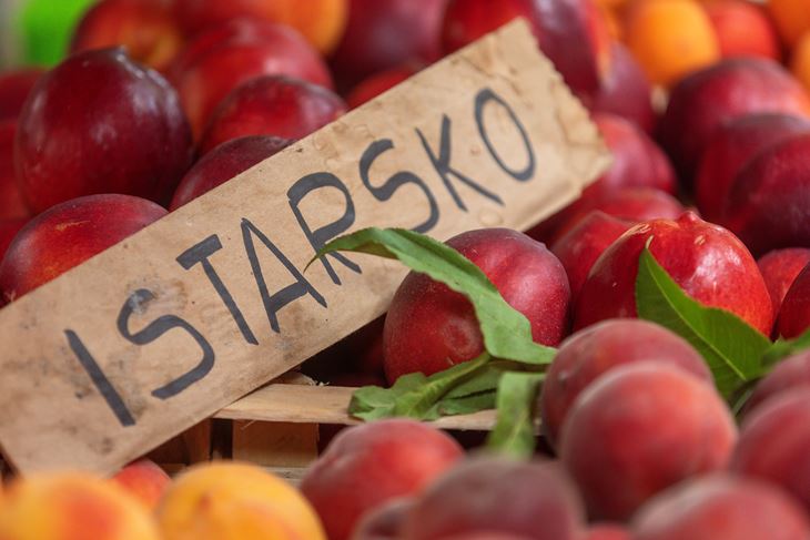 (Snimio Srećko Niketić / Pixsell)