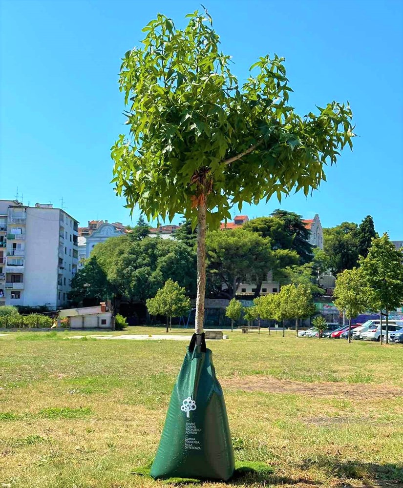 (Foto Grad Pula)