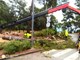(Foto: JVP Rovinj - Rovigno)