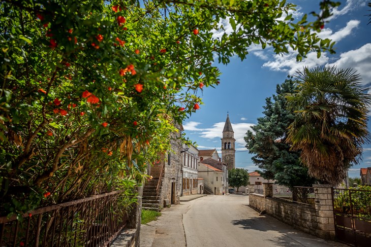 Blagdan će se u Kringi slaviti tri dana (Arhiva Glasa Istre)