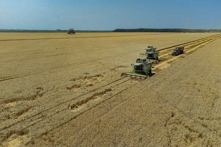 (Snimio Davor Javorovic/Pixsell)