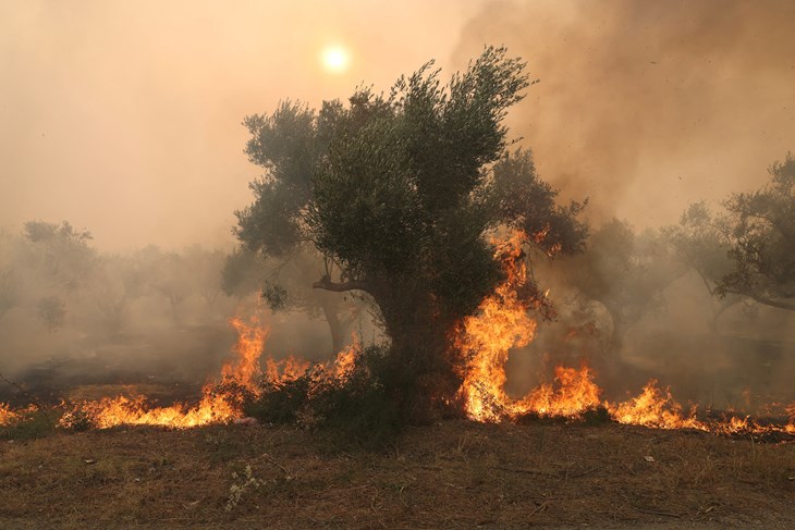 Alexandroupolis (Snimio Alexandros Avramidis/Reuters)