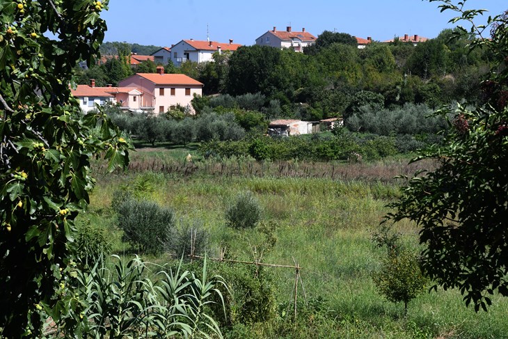 Novi urbani vrtovi bit će formirani u Lošinjskoj ulici (Snimio Milivoj Mijošek / Glas Istre)