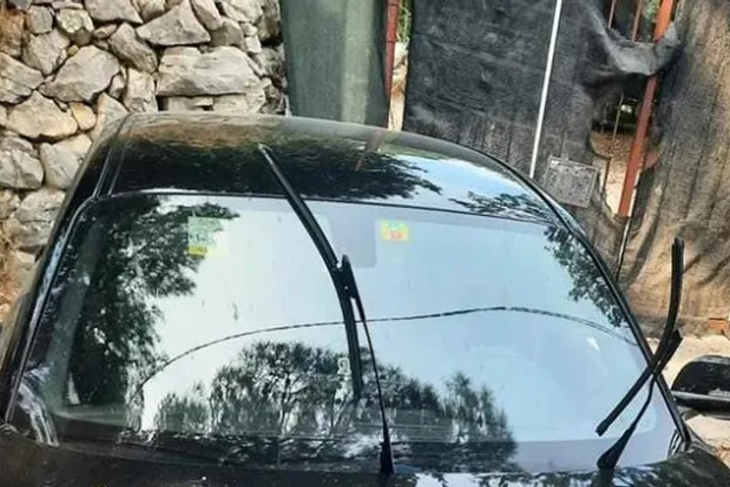 (Foto Facebook Dnevna doza prosječnog Dalmatinca)