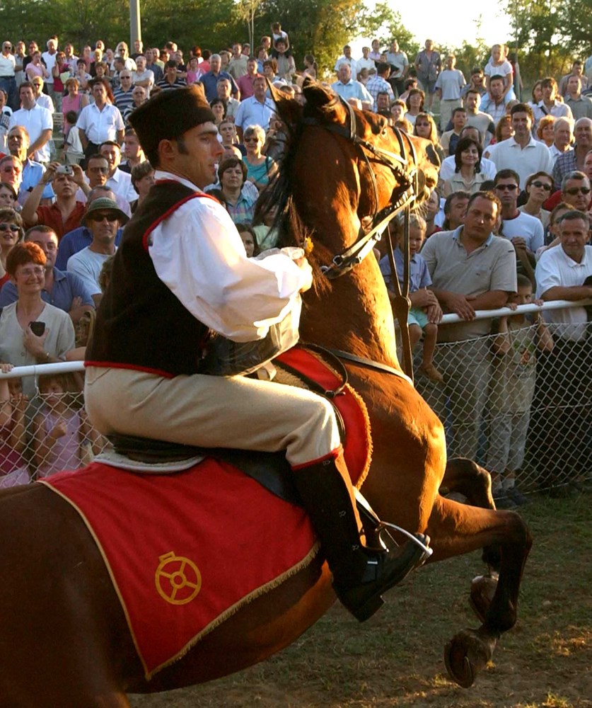 Maksimilijan Rojnić (Osobna arhiva)