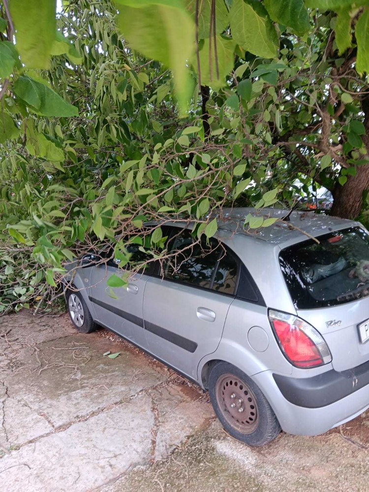 (Snimila čitateljica Glasa Istre)