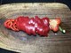 Tagliata ramstek “alla Outlaw”