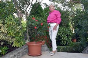 Mirjana Mendrila sa svojom kamelijom (Snimila Angela Maksimović)
