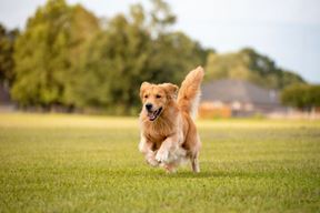 Ilustracija (iStock)