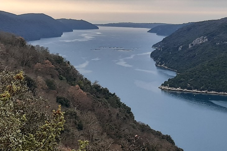 Limski kanal (Snimio Aldo Pokrajac)