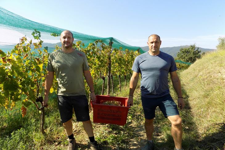 Braća Brečević, Dimitri i Yurin (Snimila Gordana Čalić Šverko)