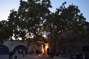 (Snimio Duško Marušić Čiči)