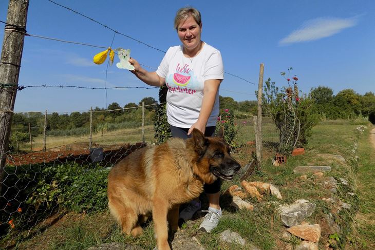 Baloni s porukom završili u vrtu Roberte Marchesi (Snimila Gordana Čalić Šverko)