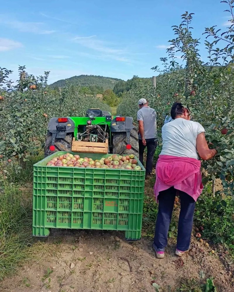 (Foto: OPG Dušić)