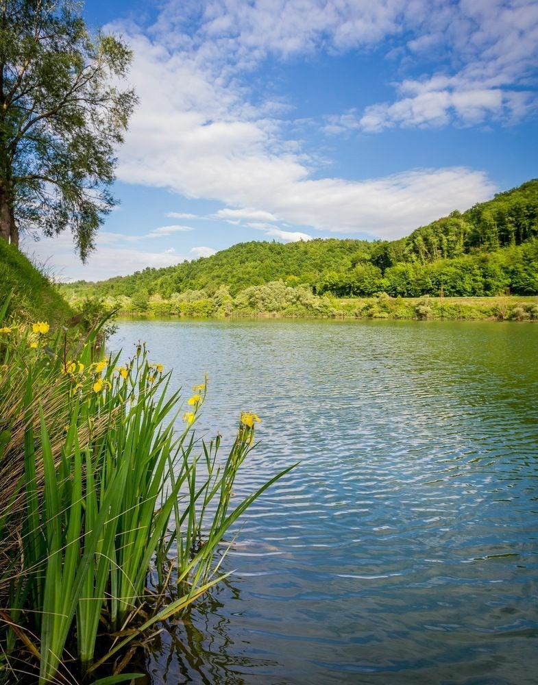 Cerovljanske bare jedno je od mjesta koje biste svakako trebali posjetiti u središnjoj Istri (Foto: TZSI)