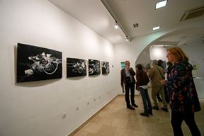 (Snimila Snježana Bratanović)