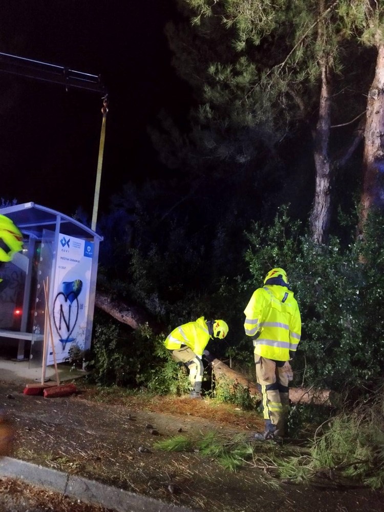 (Foto: JVP Rovinj - Rovigno)