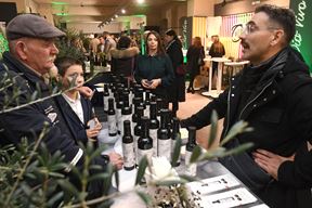 (Snimio Milivoj Mijošek/Glas Istre)