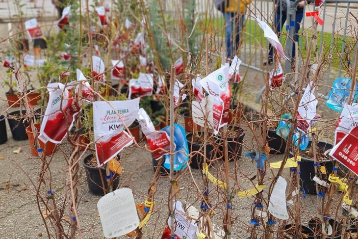 (Foto: Grad Poreč)