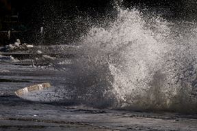 (Snimio Milivoj Mijošek/Glas Istre)