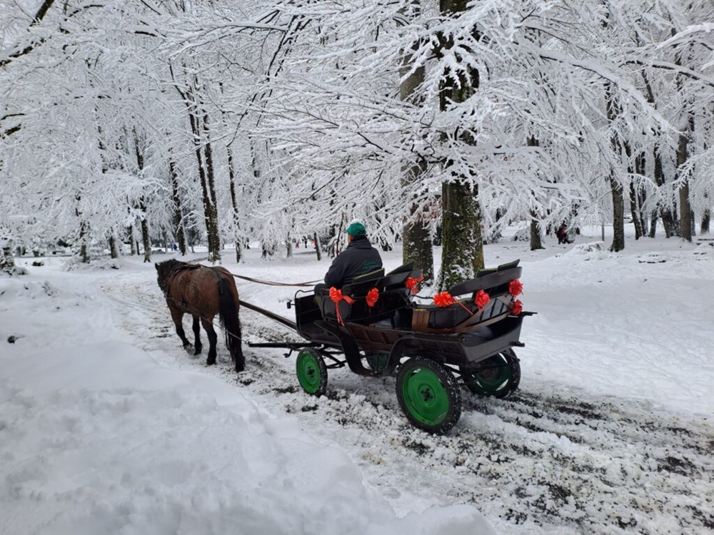 (Snimio D. Pleše)