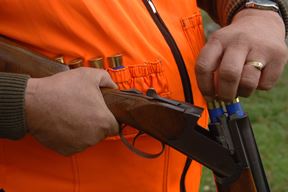 Ilustracija (Arhiva Glasa Istre)