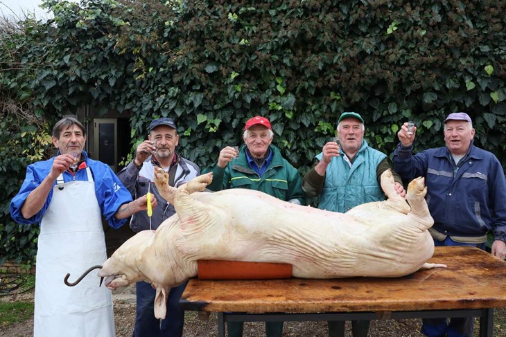 Praščina kod obitelji Cetina na Stanciji Guran (Arhiva Glasa Istre/Davor Šišović)