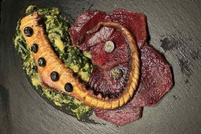 "Kraken on the cikla"