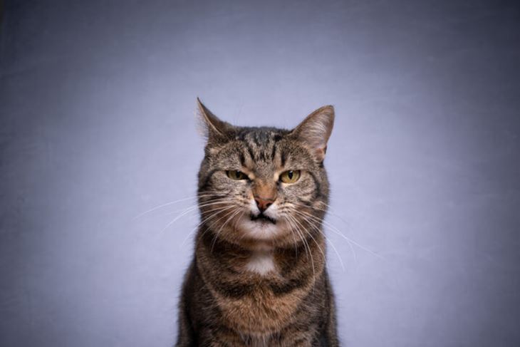 Ilustracija (iStock)