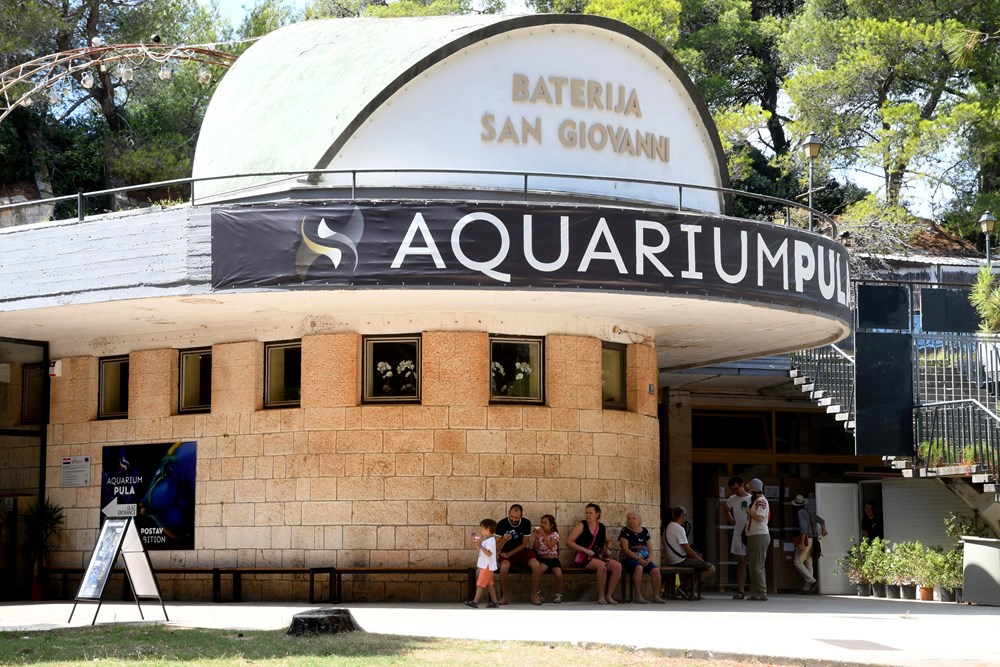 (Foto: Aquarium Pula)